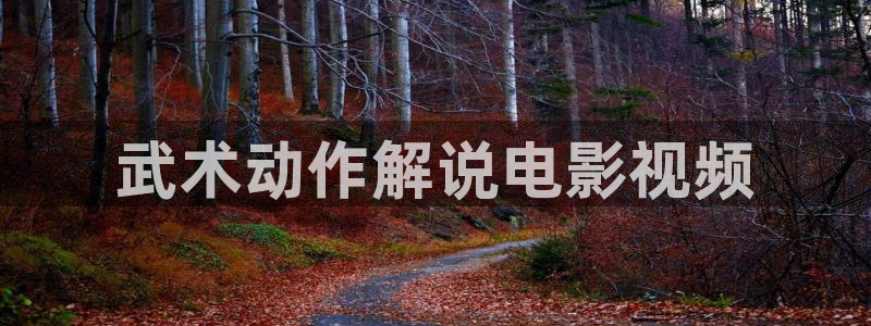 秋霞影院一级