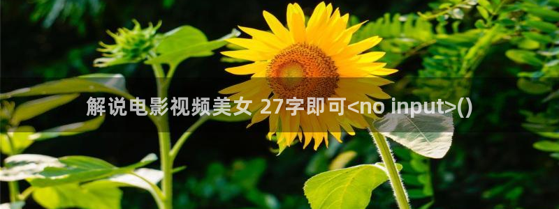 秋霞网国产理论