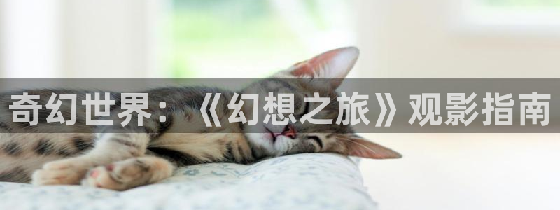 秋霞网秋霞电影在线观看