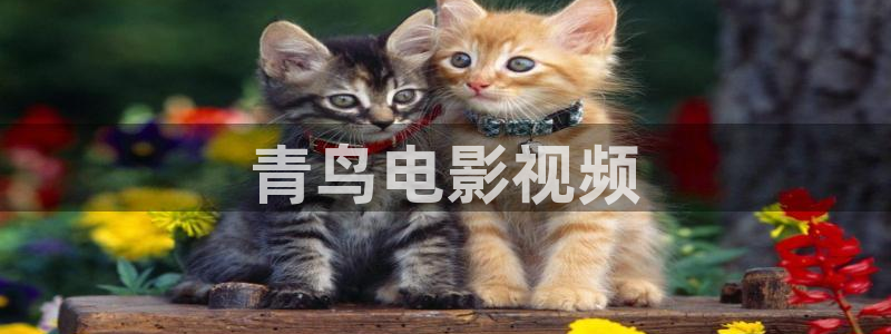 秋霞大片入口