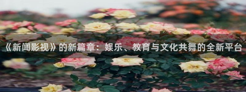 以前的秋霞电影网去哪了