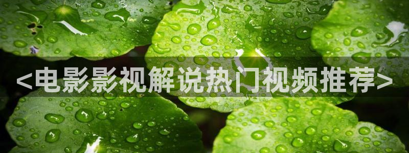 秋霞最新网站