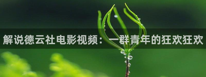 秋霞100