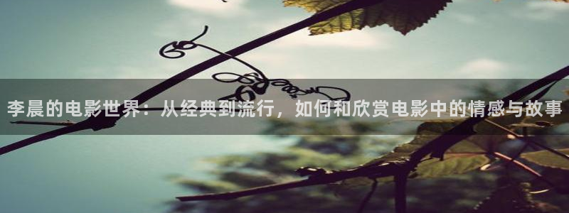 新视觉影院秋霞影院