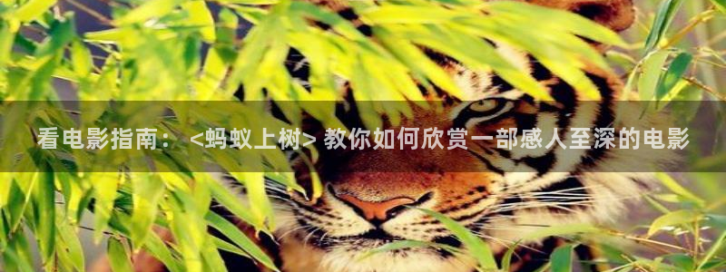 秋霞影院eeuss直达