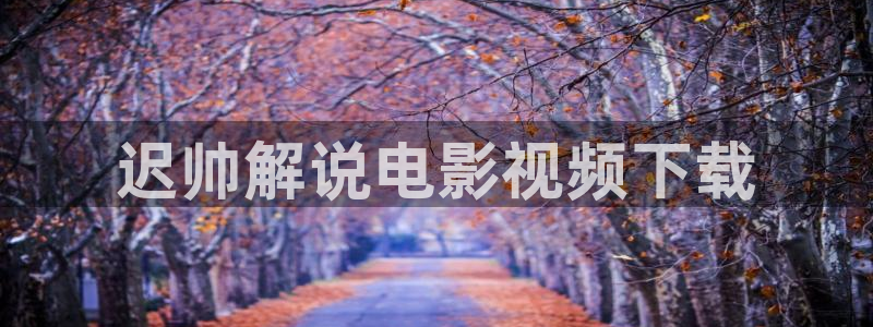 好男人秋霞影院：迟帅解说电影视频下载