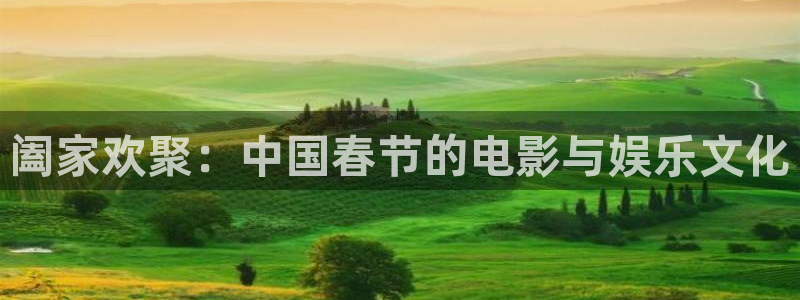 秋霞伦理影片：阖家欢聚：中国春节的电影与娱乐文化