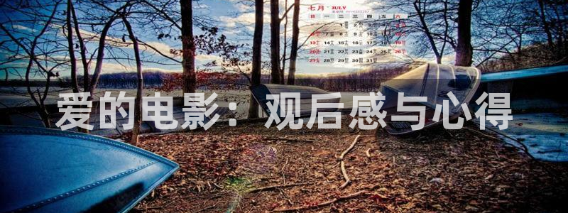 秋霞理论影院：爱的电影：观后感与心得