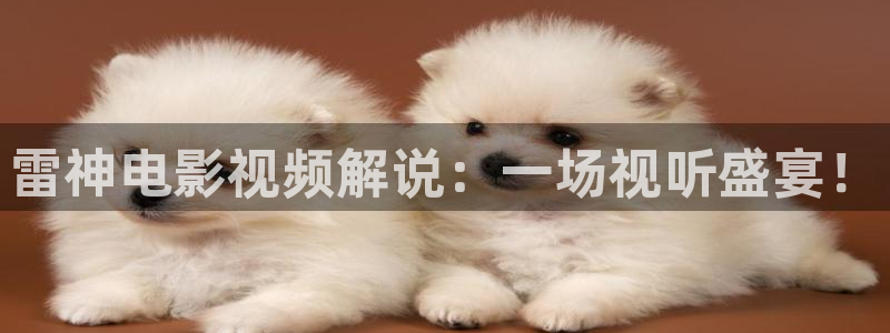 秋霞黄色一级电影：雷神电影视频解说：一场视听盛宴！