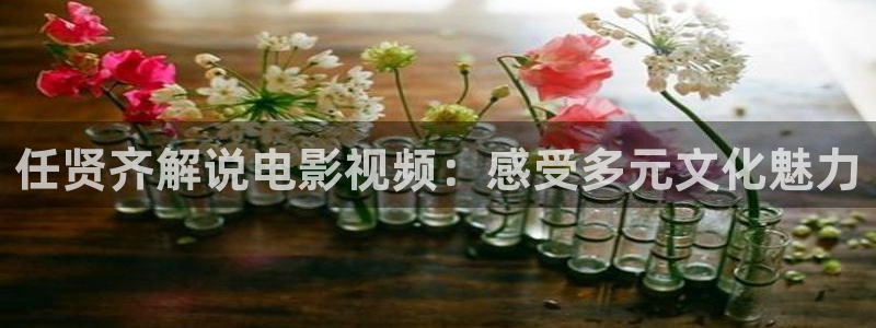 秋霞在线视频播放：任贤齐解说电影视频：感受多元文化魅力