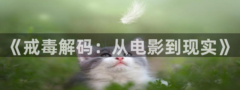 秋霞高清免费电影：《戒毒解码：从电影到现实》
