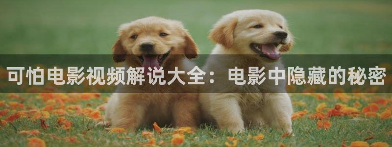 秋霞电影影院在线播放