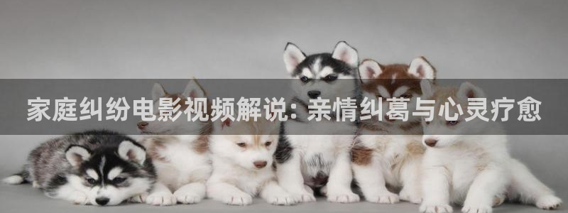 秋霞火豆电影网